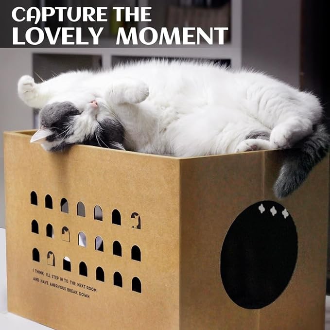 Cat Cardboard House with 2 PCS Scratching Pads，Large Cat Scratcher Bed Cat Scratchers Lounge for Indoor Cats with Corrugated Board Detachable Cat Scratcher Box for Cats.(Cactus)